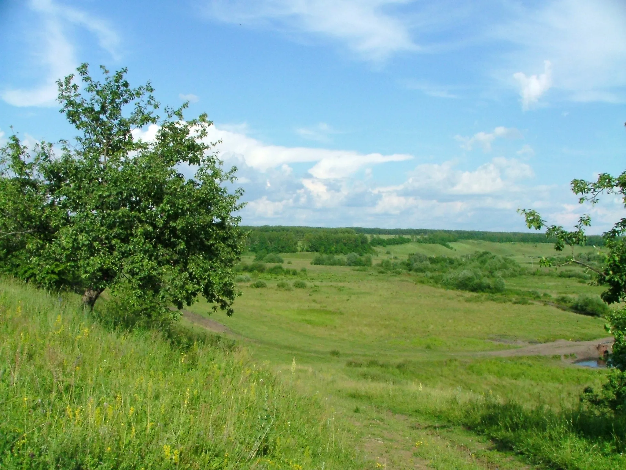 Полевая дорога спускается в долину